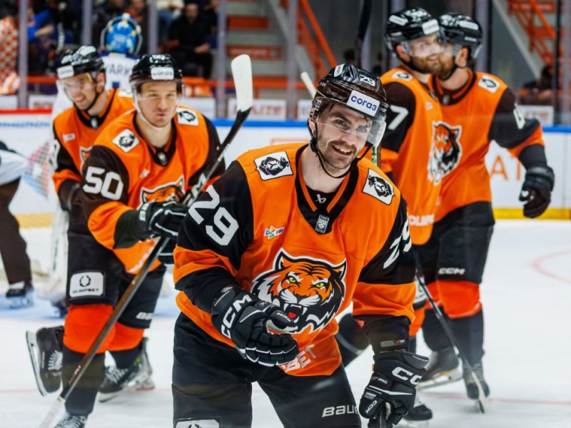 Перчатки и клюшка: продолжение рук хоккеиста